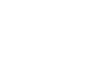 BekaertDeslee